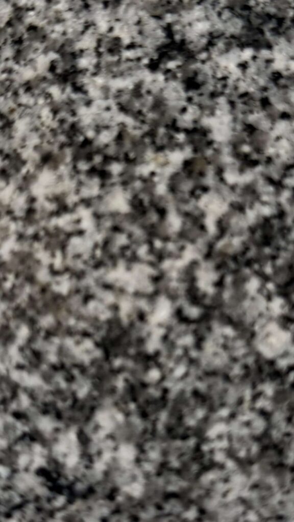 Grey Elshakria